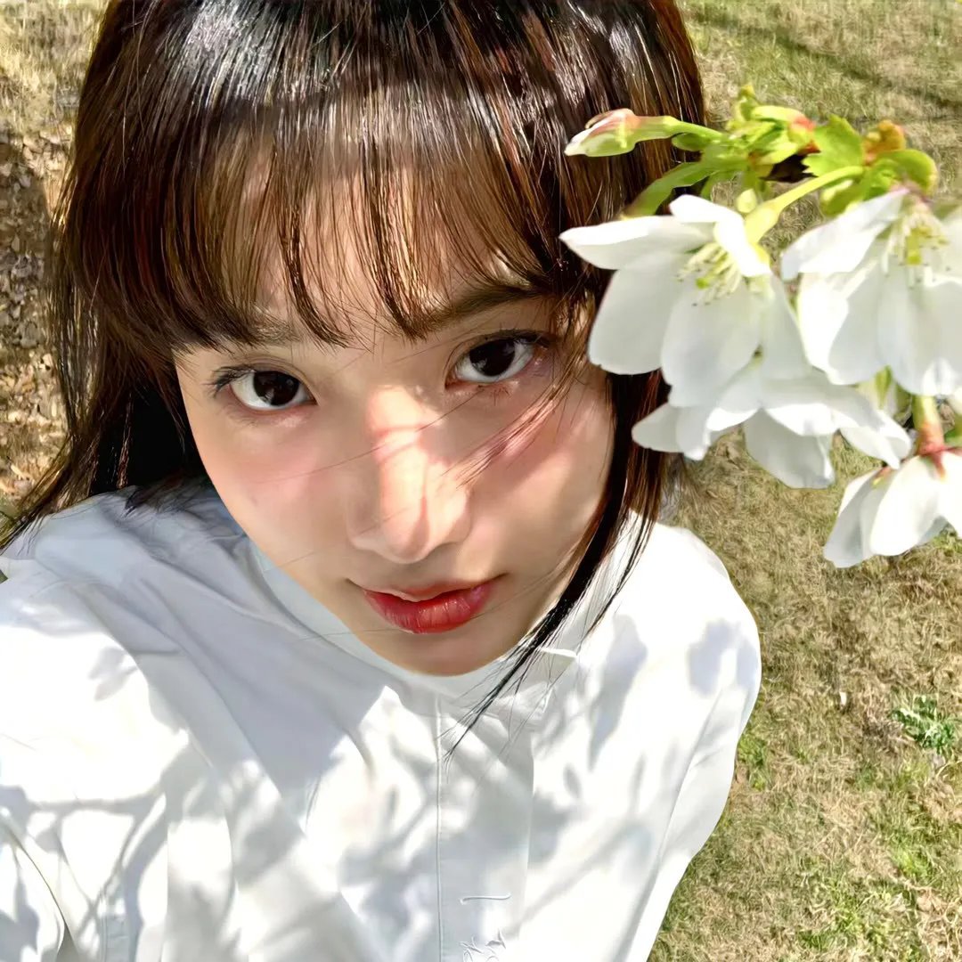 极速小绵羊